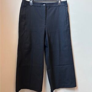 Ann Taylor Midnight Wide Leg Pants